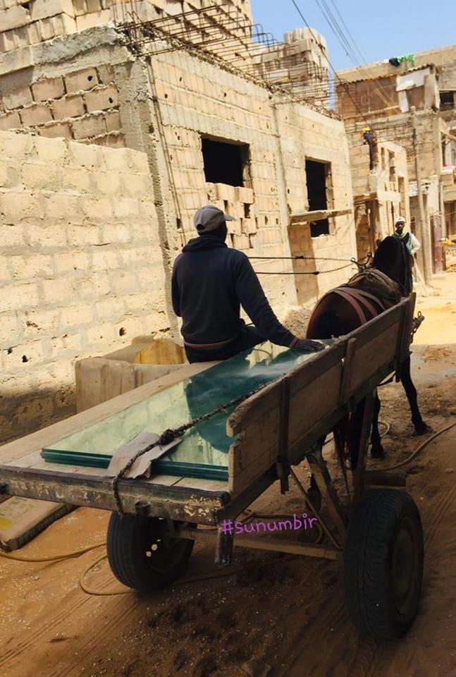 278031356 4916603575053510 5619740404381686392 n