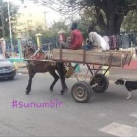 278049277 4914100128637188 639871783077712005 n