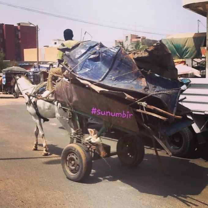 278058306 4915432675170600 6487888508107496788 n