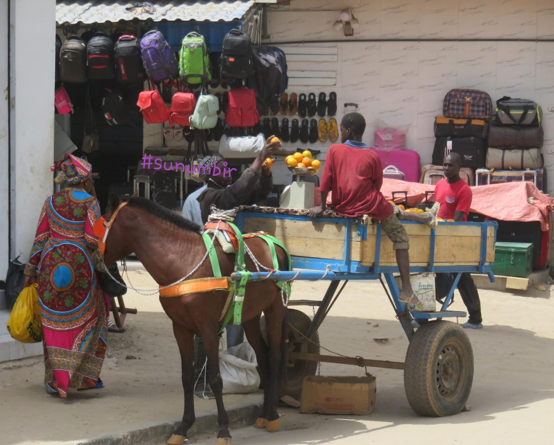 278060923 4916968818350319 4983800298346684156 n