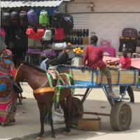 278060923 4916968818350319 4983800298346684156 n