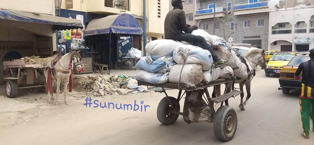 278082464 4920750331305501 458135320350008126 n