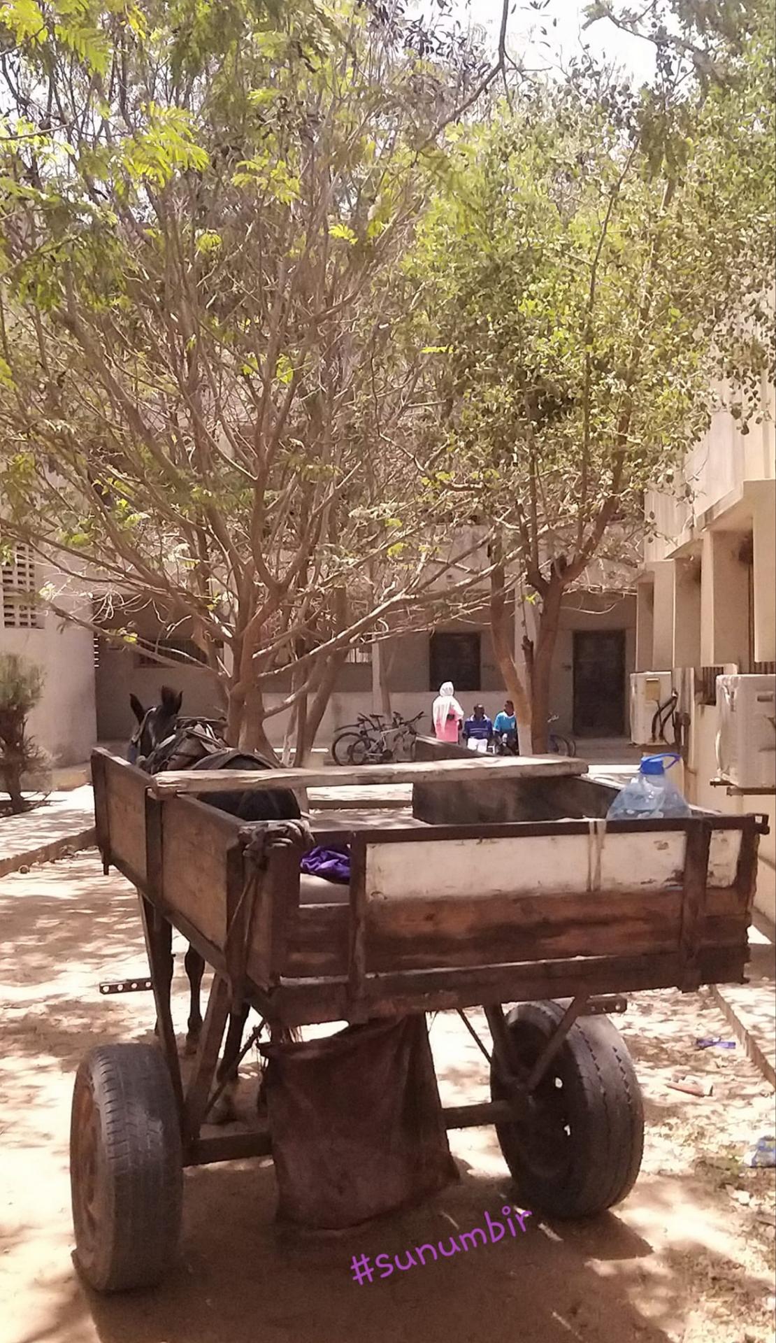 278088058 4919570648090136 1646661889480520749 n