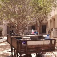 278088058 4919570648090136 1646661889480520749 n