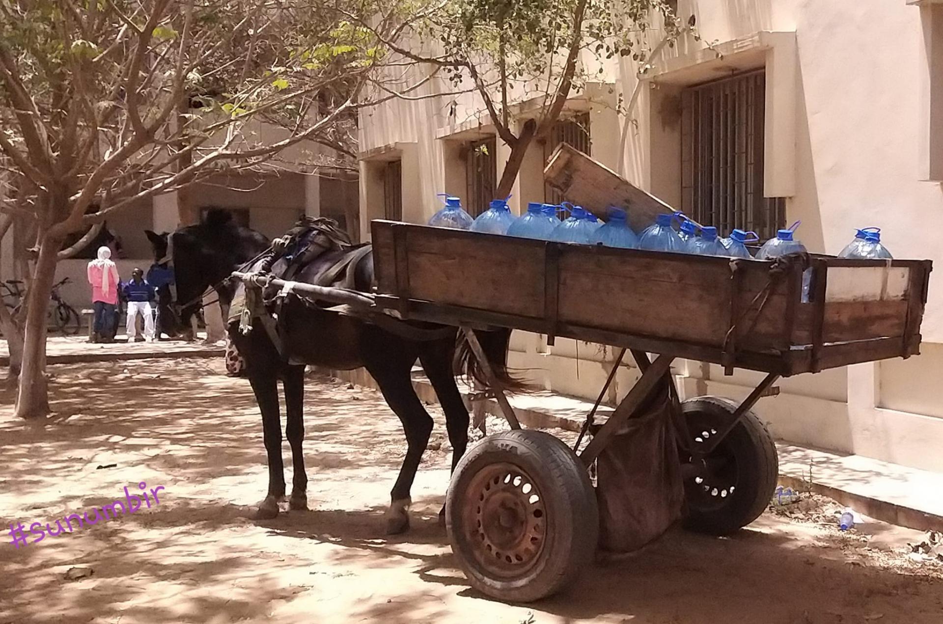 278108972 4919569734756894 430224486278877916 n