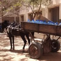 278108972 4919569734756894 430224486278877916 n