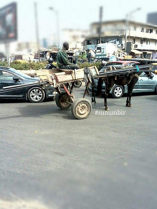 278123687 4918552778191923 4900762363049427107 n