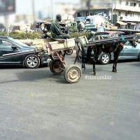 278123687 4918552778191923 4900762363049427107 n