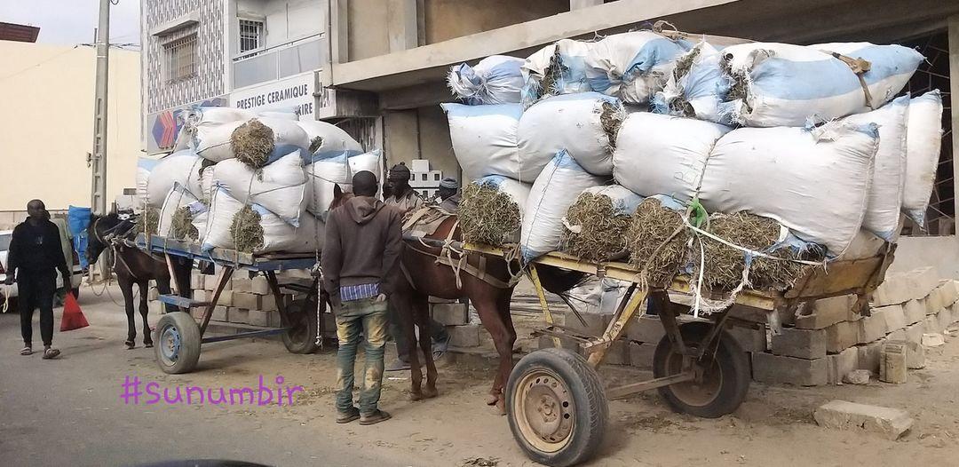 278173497 4922066421173892 7505590140568994111 n