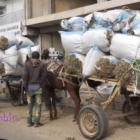 278173497 4922066421173892 7505590140568994111 n