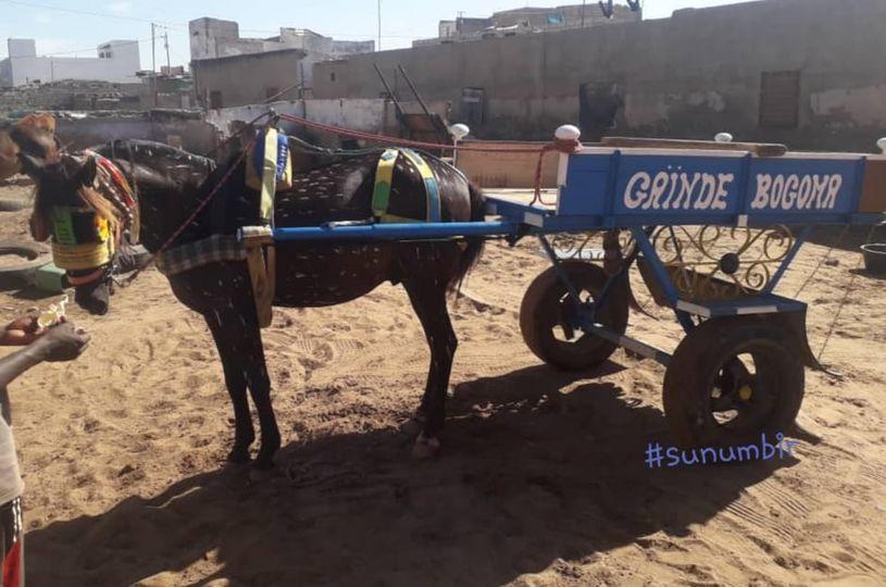 278179837 4923814454332422 4594808308130621011 n