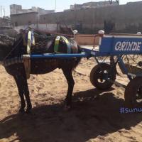 278179837 4923814454332422 4594808308130621011 n