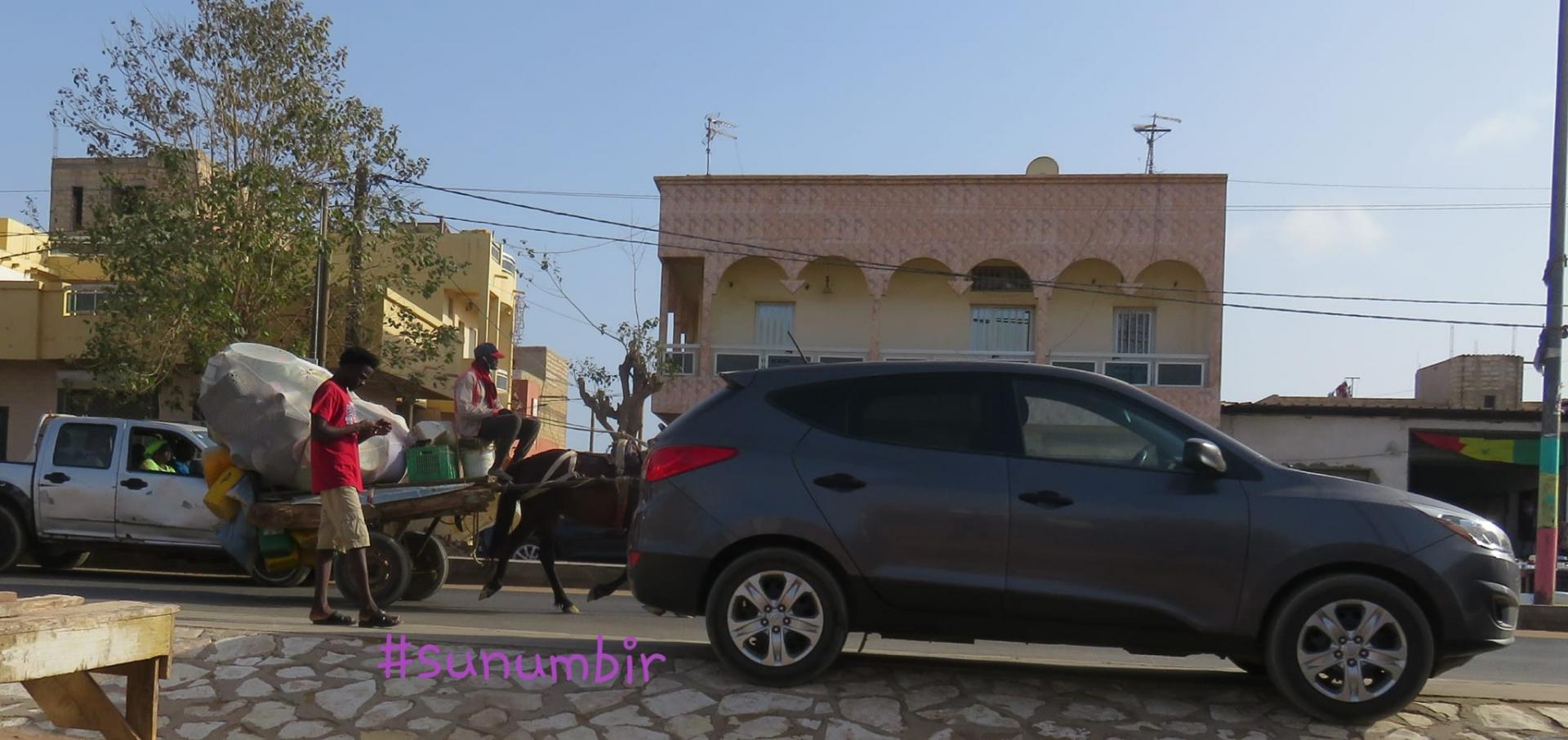 278188048 4926371747410026 4635192631849822948 n