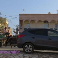 278188048 4926371747410026 4635192631849822948 n