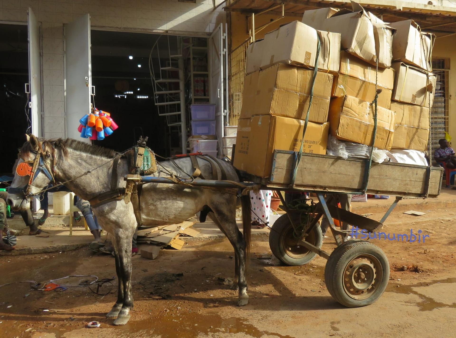 278188917 4924916977555503 6891075049433187998 n