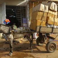 278188917 4924916977555503 6891075049433187998 n