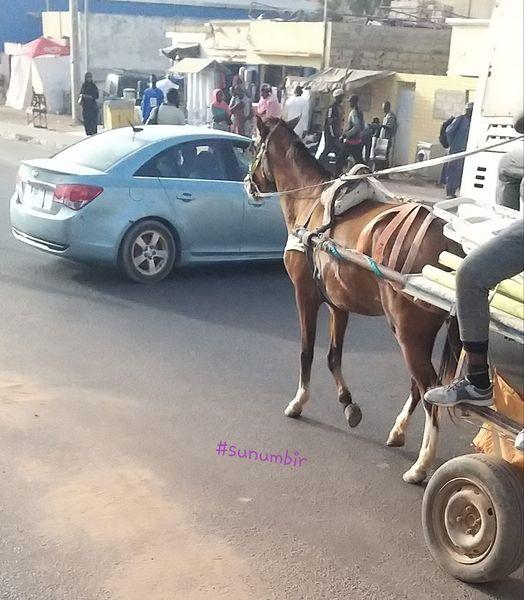 278296261 4923458961034638 6914393059888963919 n