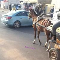 278296261 4923458961034638 6914393059888963919 n