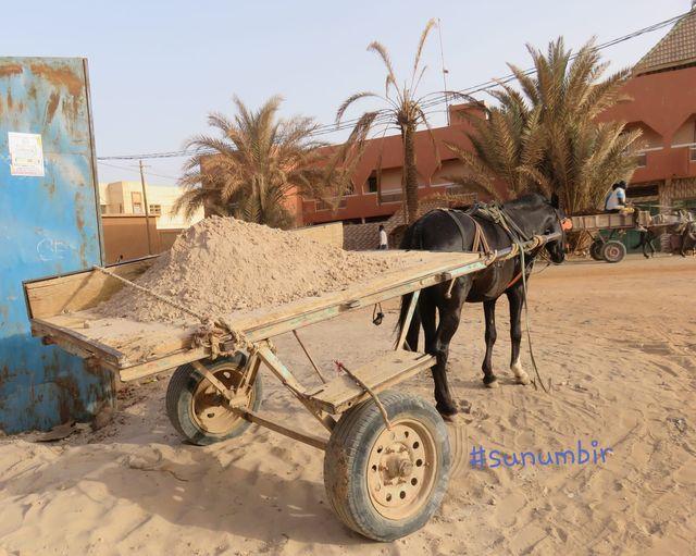 278325826 4927536830626851 2662159100827790485 n