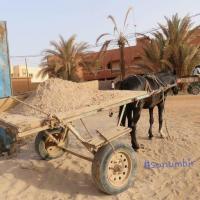 278325826 4927536830626851 2662159100827790485 n