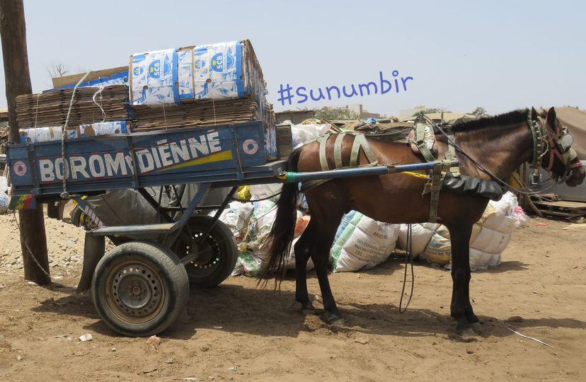 278344854 4928601593853708 8735703286390496592 n