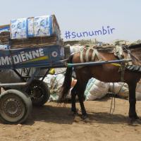 278344854 4928601593853708 8735703286390496592 n