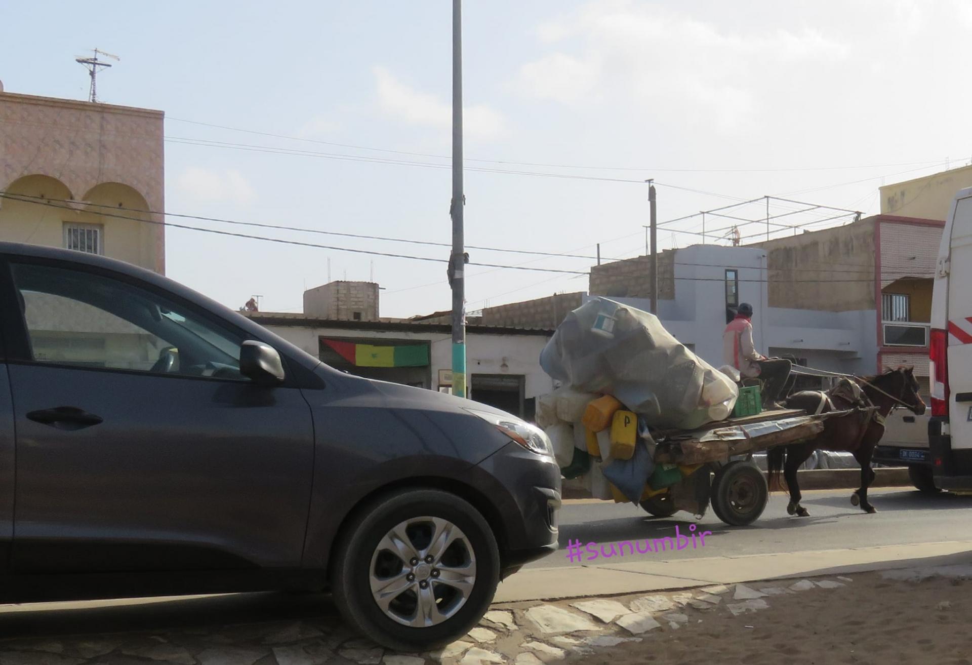 278354189 4926371904076677 1199278958542880300 n