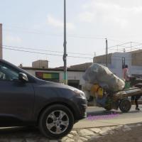 278354189 4926371904076677 1199278958542880300 n