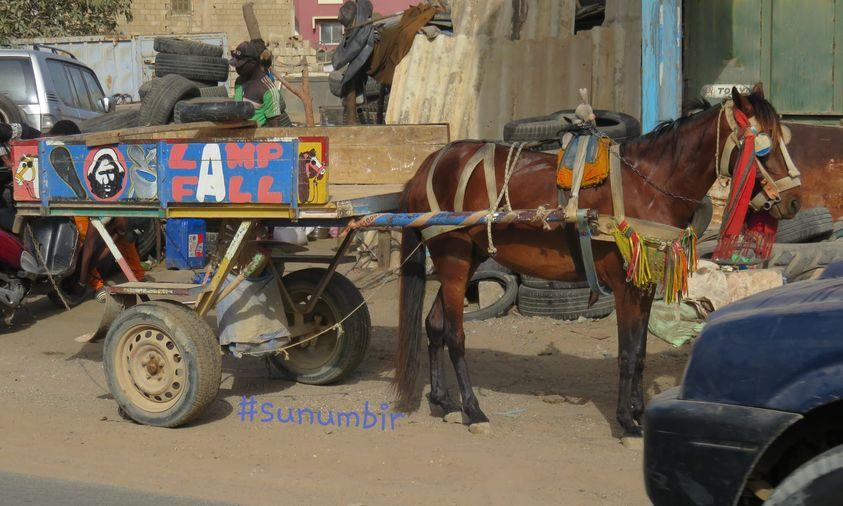 278394634 4930031650377369 5435806162780637123 n