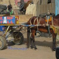 278394634 4930031650377369 5435806162780637123 n