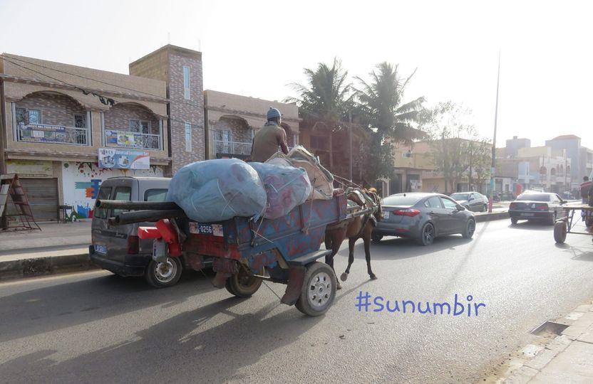 278439481 4933819706665230 1389041441780342474 n