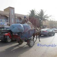 278439481 4933819706665230 1389041441780342474 n