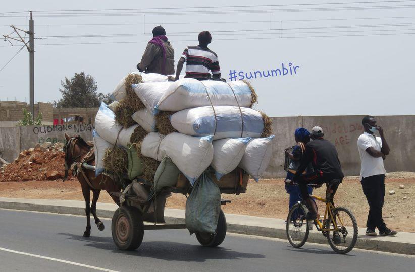 278491270 4935472139833320 4636566486196754501 n