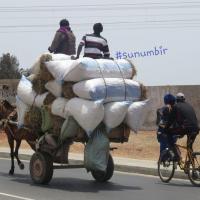 278491270 4935472139833320 4636566486196754501 n