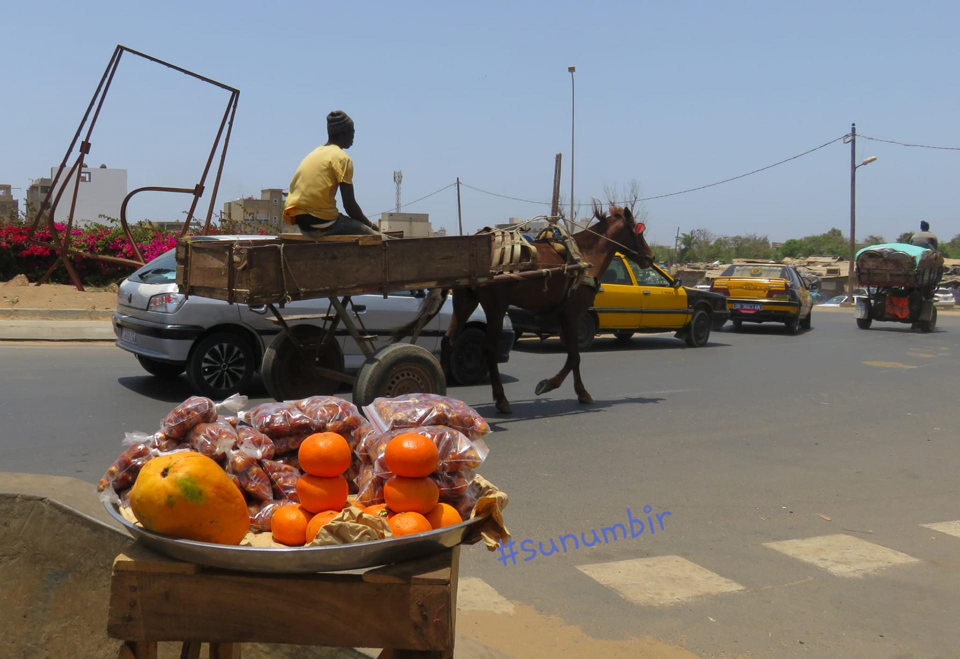 278546178 4938236339556900 1394691473856297491 n