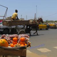 278546178 4938236339556900 1394691473856297491 n