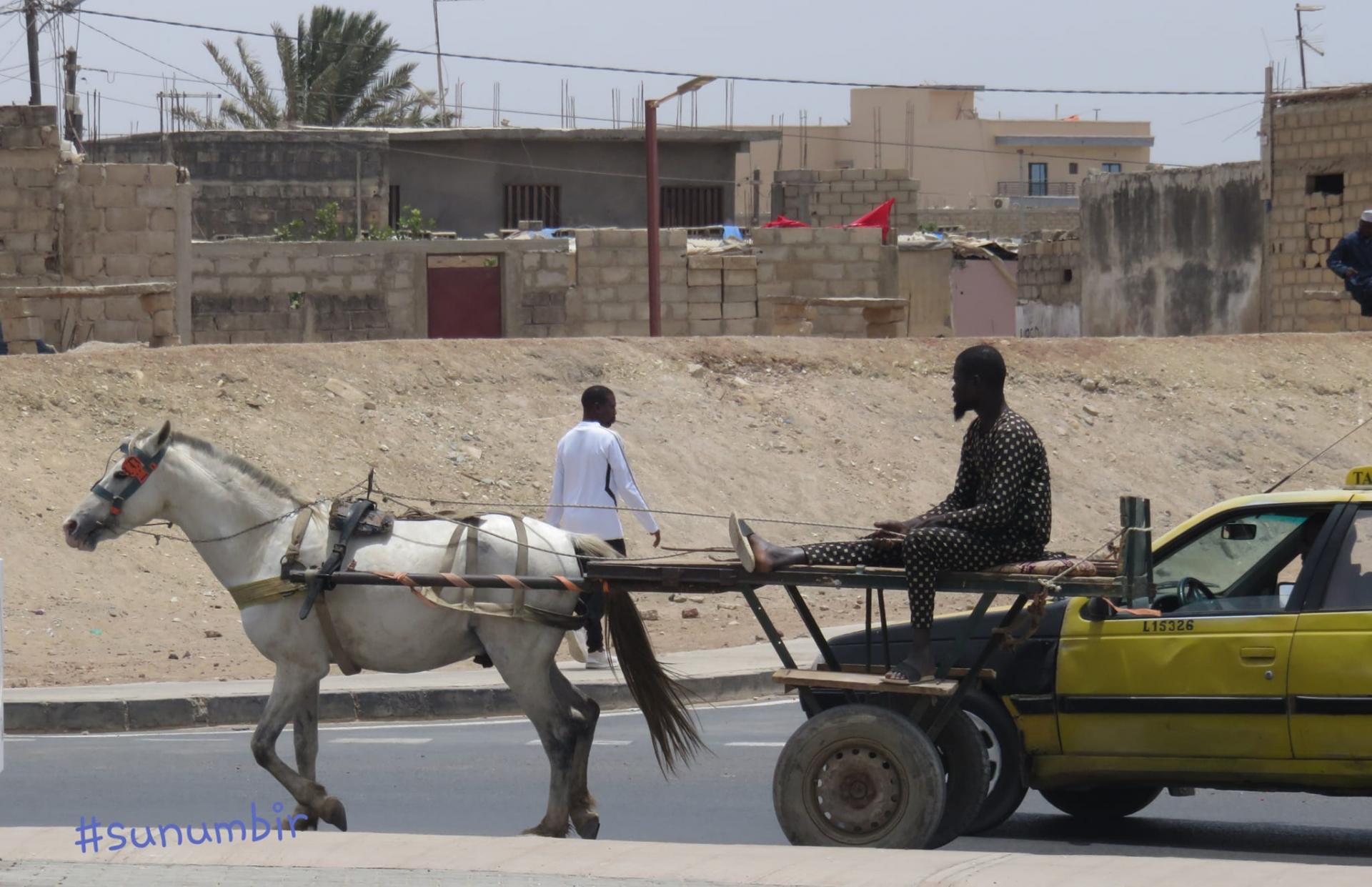 278569456 4936547379725796 1350990142168949425 n