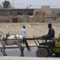 278569456 4936547379725796 1350990142168949425 n