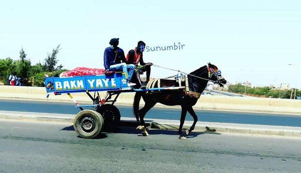 279418290 5243254955726715 5590491375978889633 n