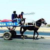 279418290 5243254955726715 5590491375978889633 n