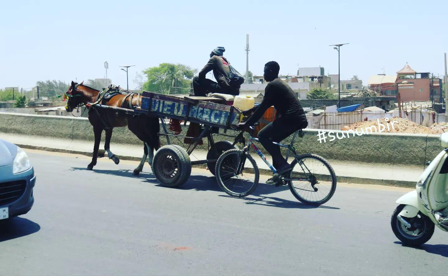 279629327 4981878511859349 6911019414539239834 n