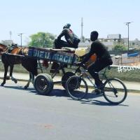 279629327 4981878511859349 6911019414539239834 n