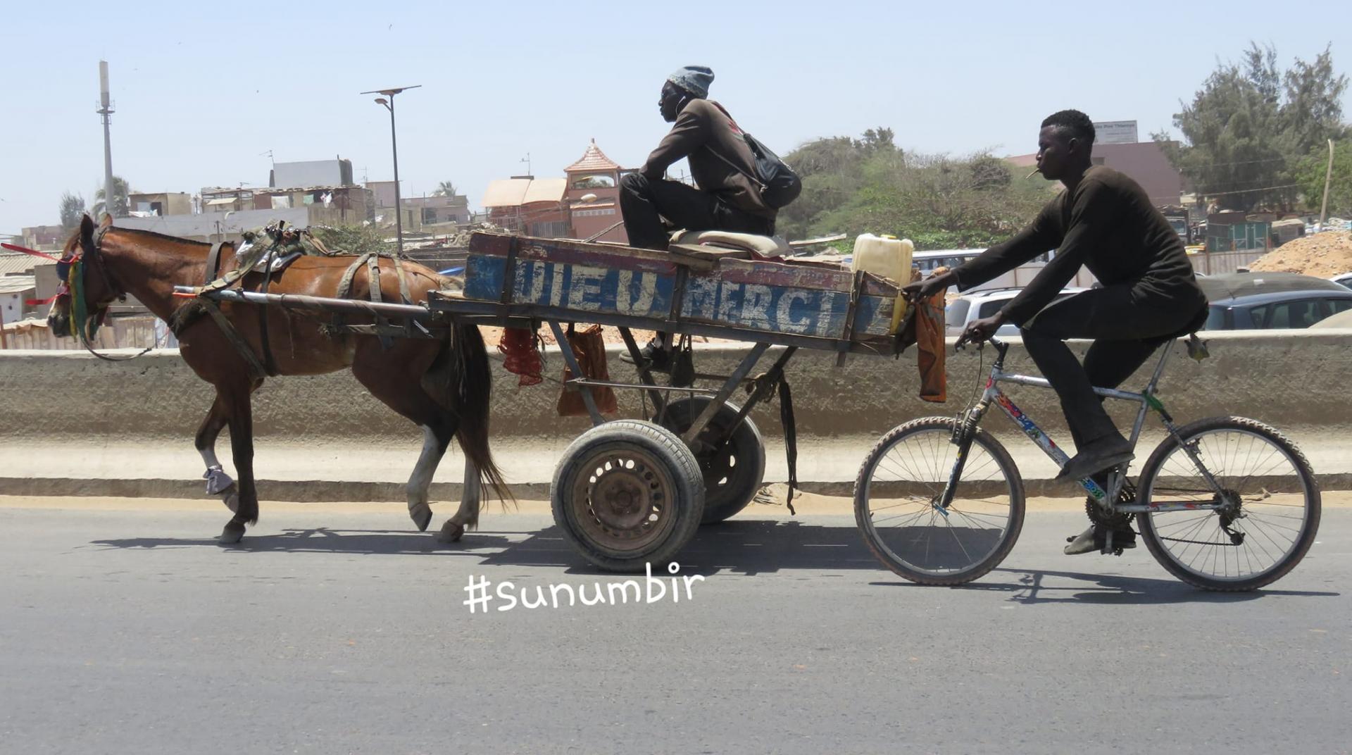 279675268 4981878661859334 2954881167746964391 n