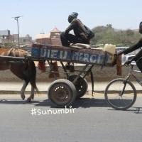 279675268 4981878661859334 2954881167746964391 n