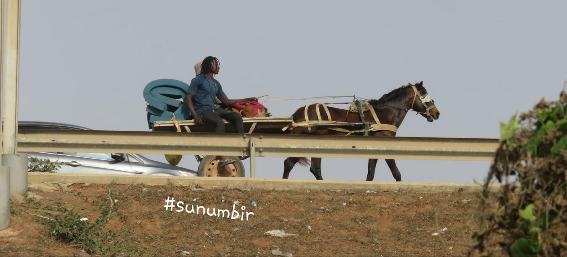 279883706 4992709504109583 5023721184205441823 n