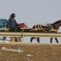 279883706 4992709504109583 5023721184205441823 n