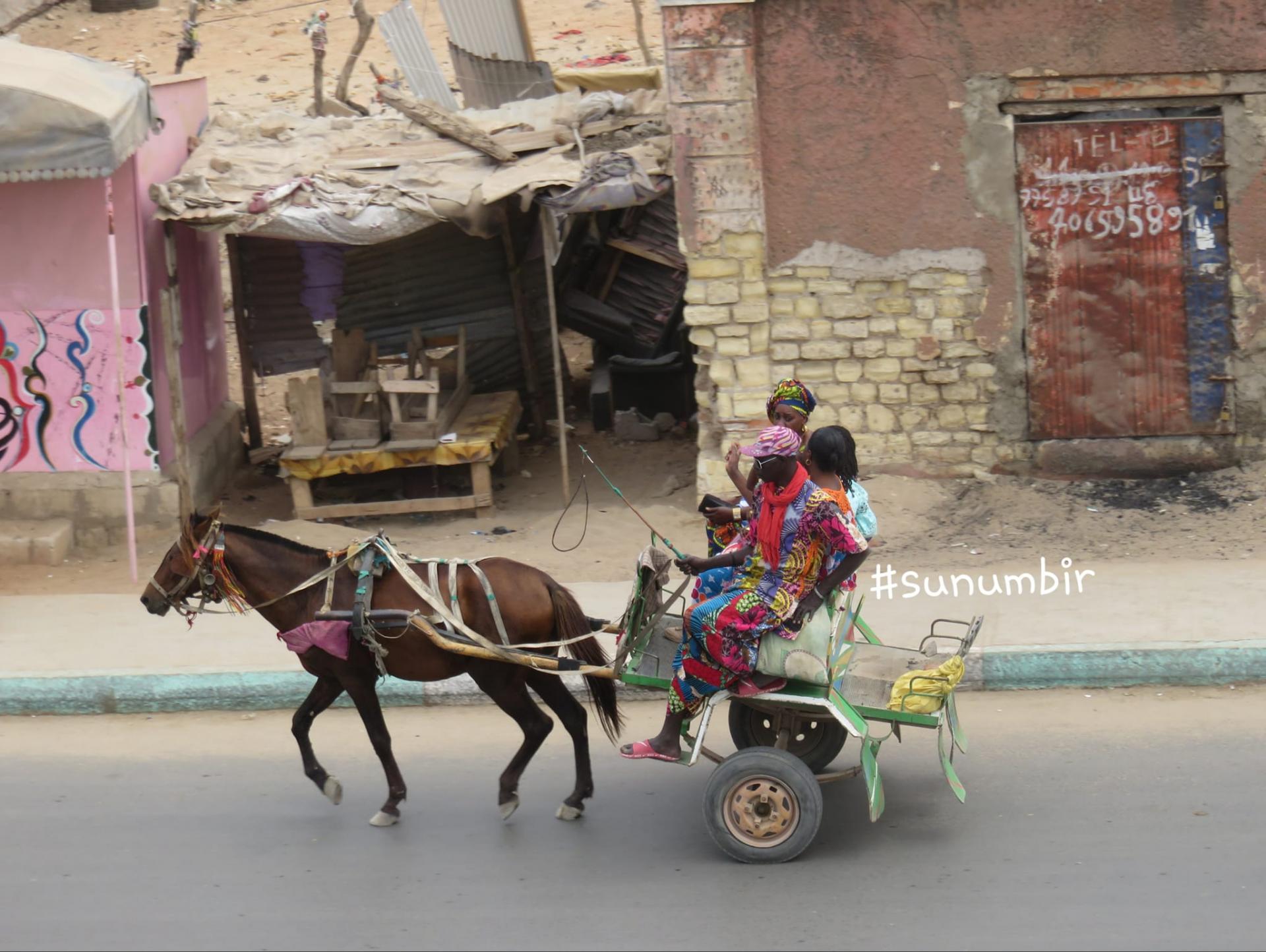 279888643 4989780884402445 2158373337258250228 n