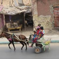 279888643 4989780884402445 2158373337258250228 n