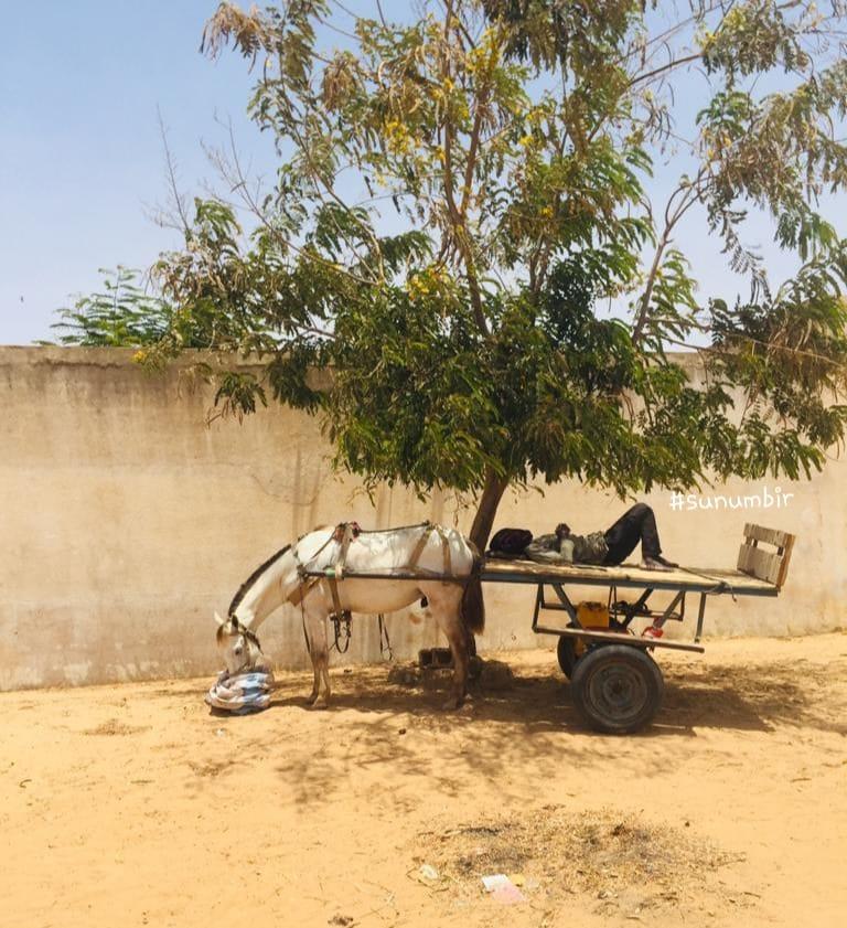 279918619 4996867890360411 7267928535958613892 n