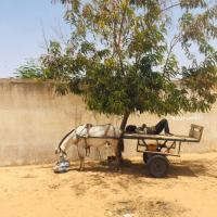 279918619 4996867890360411 7267928535958613892 n